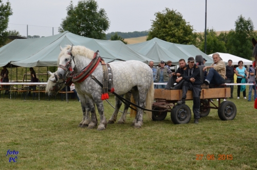 201506300044450.furmanske_065
