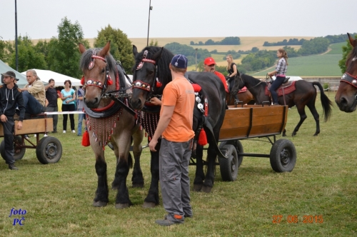 201506300044450.furmanske_066