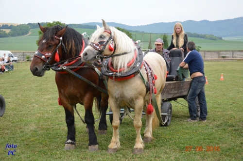 201506300044450.furmanske_067
