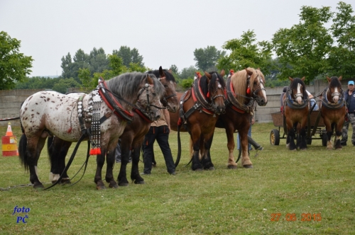 201506300044450.furmanske_070