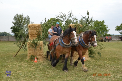 201506300044450.furmanske_073