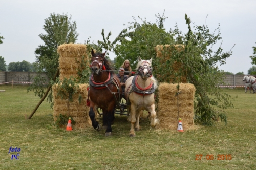 201506300044450.furmanske_079