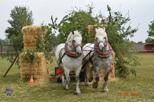 201506300044450.furmanske_081