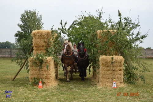 201506300044450.furmanske_083