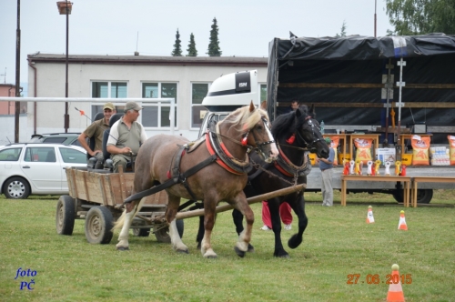 201506300044450.furmanske_092