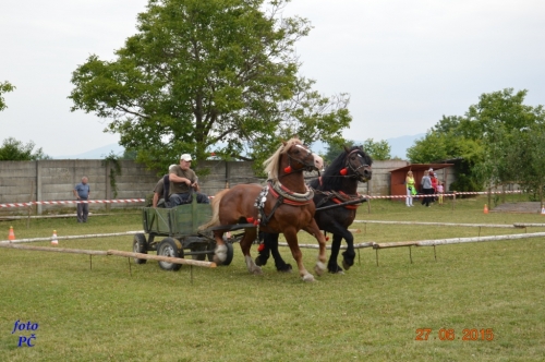 201506300044450.furmanske_097