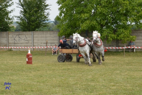 201506300044450.furmanske_101