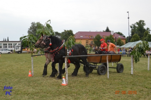 201506300044450.furmanske_107