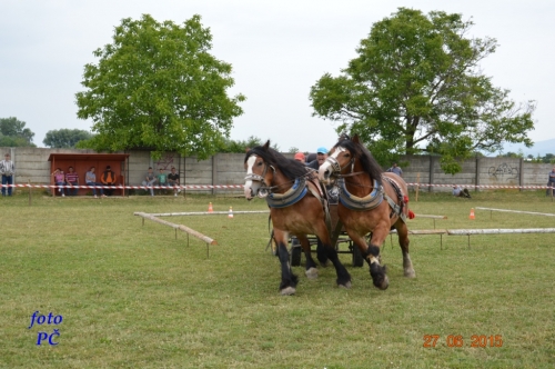 201506300044450.furmanske_109