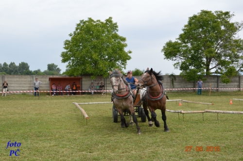 201506300044450.furmanske_113