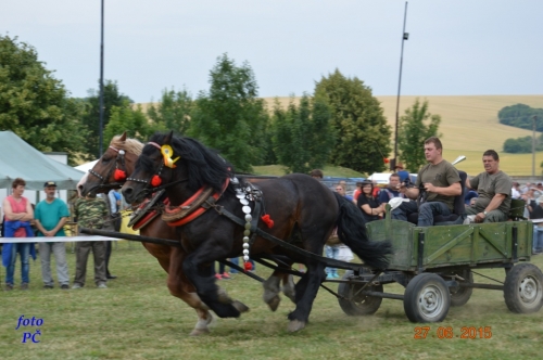 201506300044450.furmanske_129