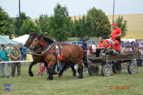 201506300044450.furmanske_133
