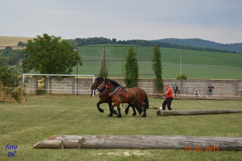 201506300044450.furmanske_157