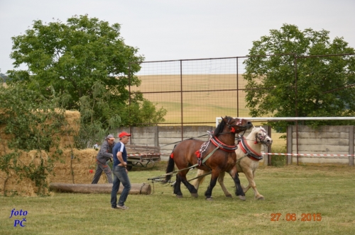 201506300044450.furmanske_170