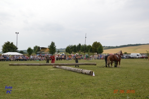 201506300044450.furmanske_193