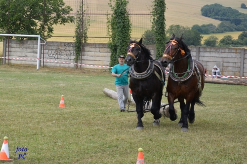 201506300044450.furmanske_219