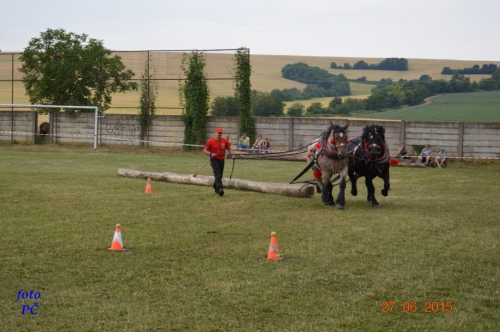 201506300044450.furmanske_237