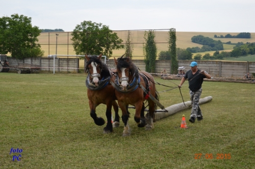 201506300044450.furmanske_251
