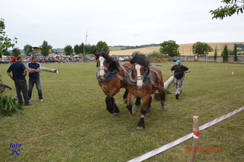 201506300044450.furmanske_256