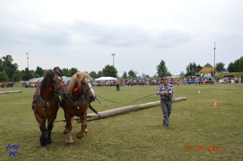 201506300044450.furmanske_262