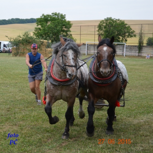 201506300044450.furmanske_284