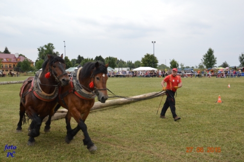 201506300044450.furmanske_293