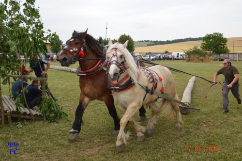 201506300044450.furmanske_313