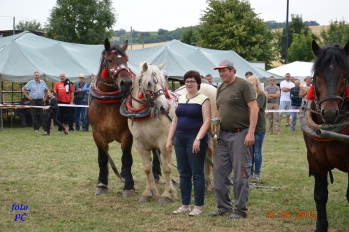 201506300044450.furmanske_318