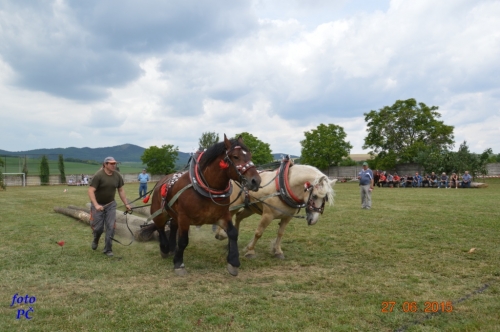 201506300044450.furmanske_349
