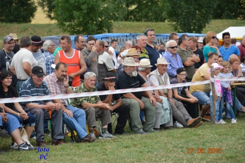 201506300044460.furmanske_357