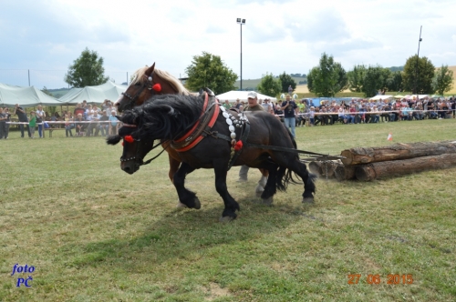 201506300048510.furmanske_516