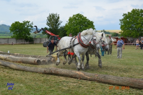 201506300048510.furmanske_527