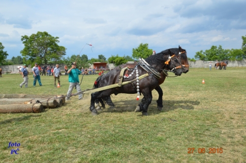 201506300048510.furmanske_565