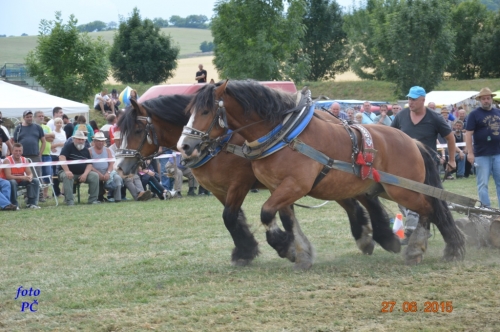 201506300048510.furmanske_605