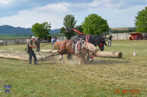201506300048510.furmanske_643