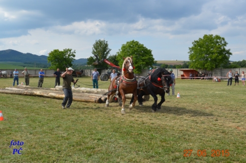201506300048510.furmanske_647