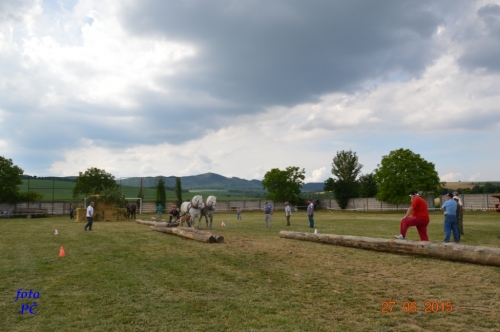 201506300048510.furmanske_668