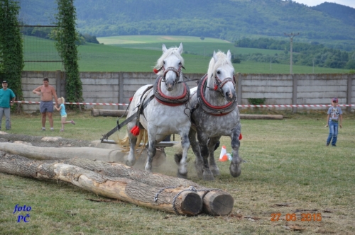 201506300048510.furmanske_669