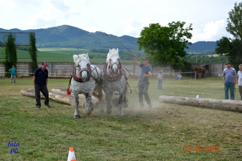 201506300048510.furmanske_674