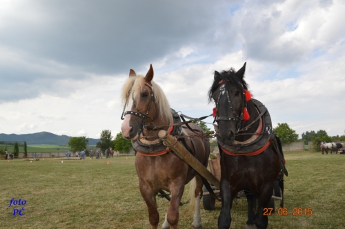 201506300048510.furmanske_679