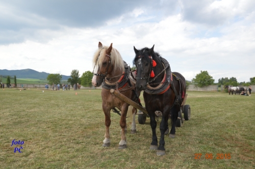 201506300048510.furmanske_680