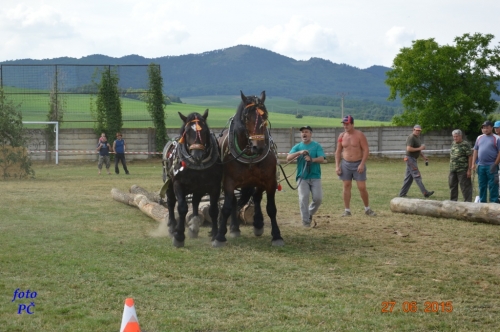 201506300048510.furmanske_687