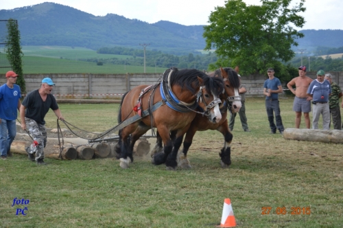 201506300048510.furmanske_696
