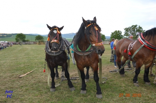 201506300048510.furmanske_710