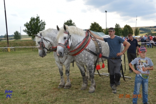 201506300048510.furmanske_711