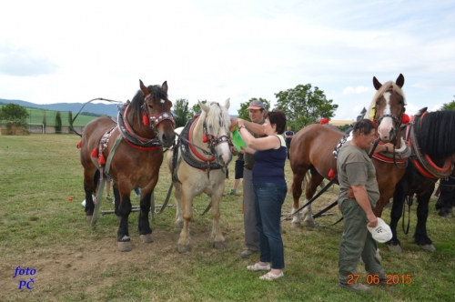 201506300048510.furmanske_720