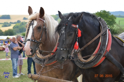201506300048510.furmanske_722