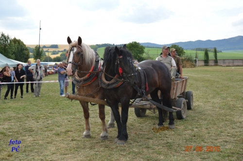 201506300048510.furmanske_723