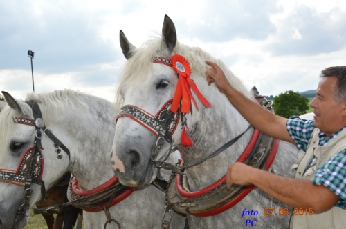 201506300048520.furmanske_726