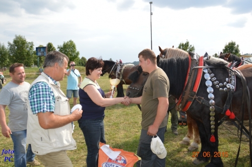 201506300048520.furmanske_733